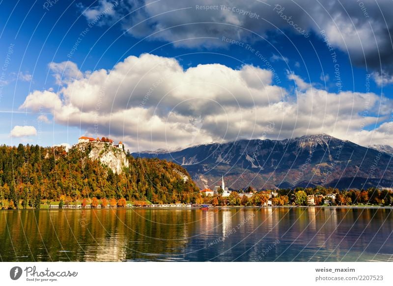 Bunter Herbsttag auf Bled See, Slowenien Ferien & Urlaub & Reisen Tourismus Ausflug Abenteuer Ferne Freiheit Sightseeing Sommer Sommerurlaub Insel