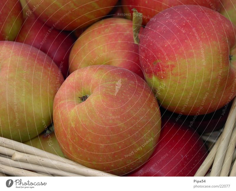 Herbstäpfel Natur Gesundheit Essen. Obst Apfel