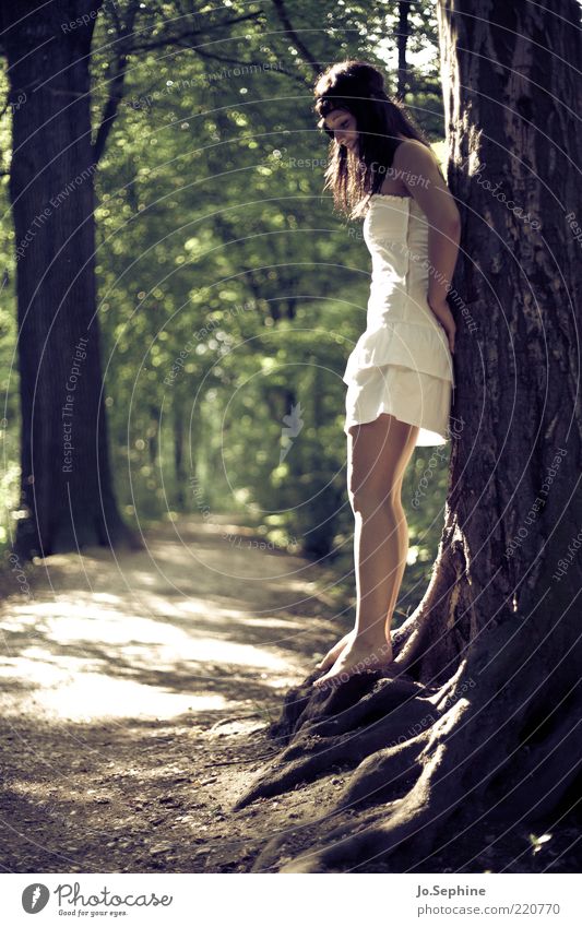 Mielikki feminin Junge Frau Jugendliche 1 Mensch 18-30 Jahre Erwachsene Natur Sommer Baum Wald Kleid Erholung stehen träumen braun grün Stimmung Romantik