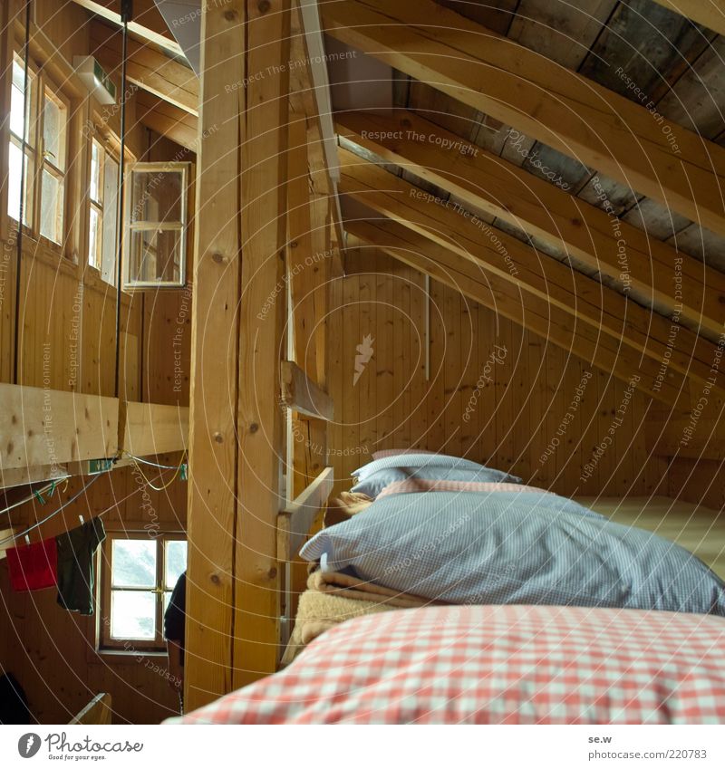 Bei den 7 Zwergen... Haus Hütte Fenster Dach Bett Kopfkissen Strebe Schlafmatratze Matratzenlager wandern Häusliches Leben einfach Geborgenheit ruhig