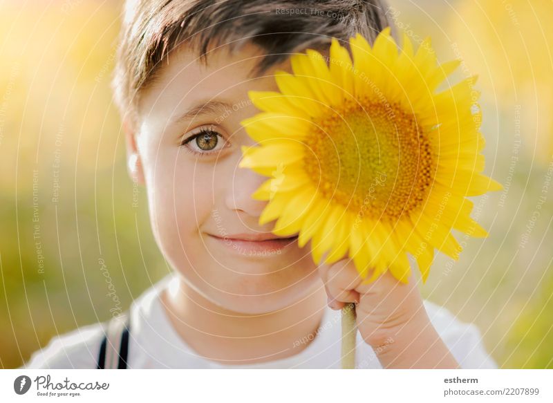 Junge spielt im Sonnenblumenfeld Lifestyle Freude Ferien & Urlaub & Reisen Sommer Mensch maskulin Kind Kleinkind Kindheit 1 3-8 Jahre Frühling Pflanze Blüte