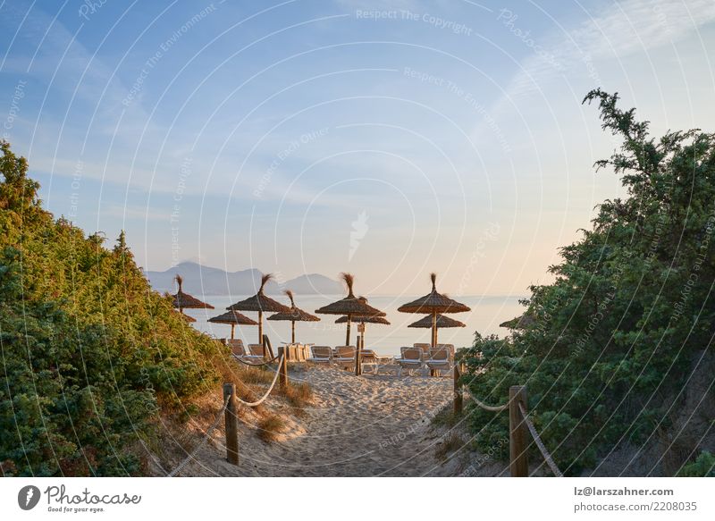 Tropischer Sonnenuntergang auf einem Erholungsortstrand exotisch Freizeit & Hobby Ferien & Urlaub & Reisen Tourismus Sommer Strand Meer Stuhl Sand Himmel Küste