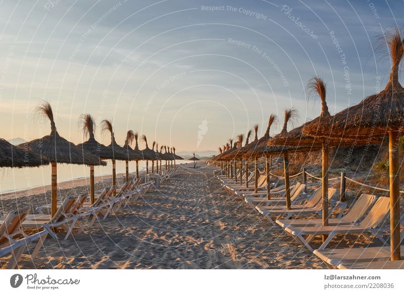 Sonnenaufgang auf einem Erholungsortstrand mit Regenschirmen exotisch Freizeit & Hobby Ferien & Urlaub & Reisen Tourismus Sommer Strand Meer Stuhl Landschaft