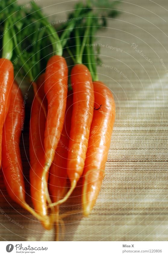 frisch Lebensmittel Gemüse Ernährung Bioprodukte Vegetarische Ernährung Diät lecker orange Möhre Gesundheit Vitamin Vitamin A Foodfotografie Farbfoto