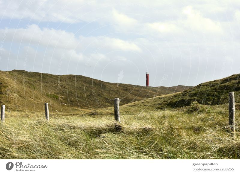 Leuchtturm Julianadorp - Blick aus den Dünen Umwelt Natur Landschaft Wasser Wolken Sommer Gras Küste Strand Meer Nordsee nordisch Stranddüne Dünengras