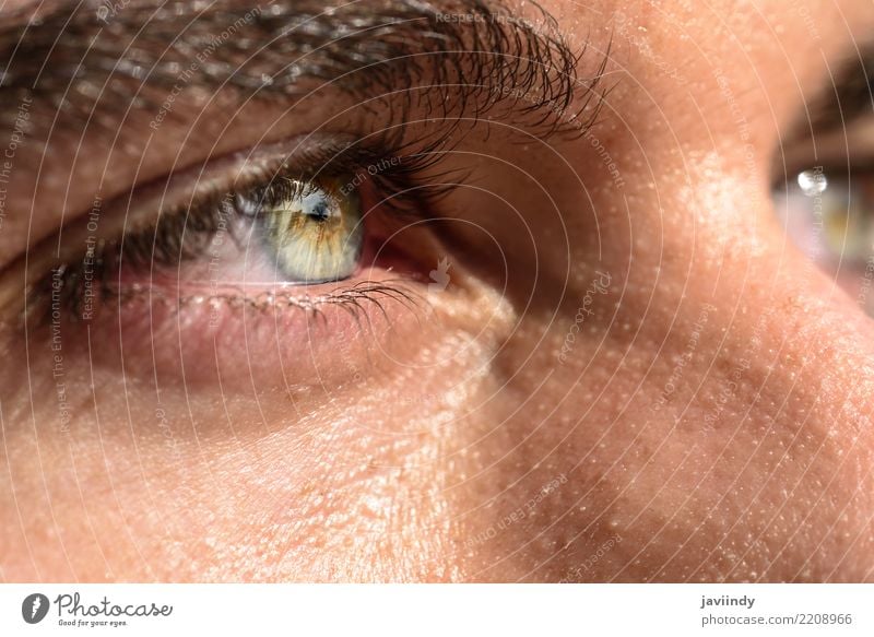 Nahaufnahme des Auges eines Mannes. schön Mensch Erwachsene blau grün schließen nach oben Sehvermögen Regenbogenhaut Augenbraue Aussicht Pupille Farbfoto