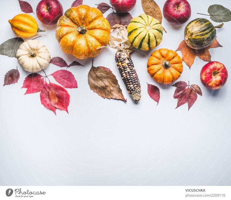 Herbst Hintergrund mit Kürbis, Mais, Äpfeln und Blättern Gemüse Apfel Stil Design Gesunde Ernährung Garten Feste & Feiern Erntedankfest Halloween Natur
