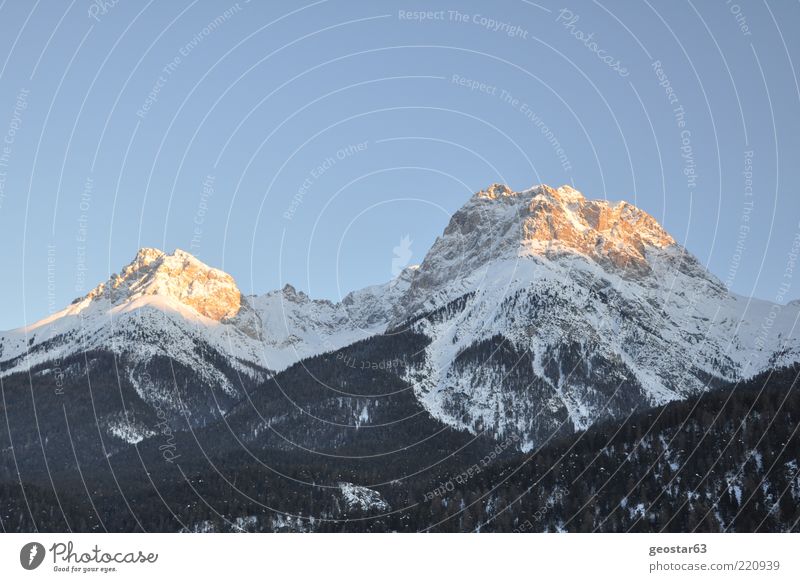 Berge in Graubünden (Schweiz) Landschaft Wolkenloser Himmel Sonnenlicht Winter Schönes Wetter Alpen Berge u. Gebirge Gipfel Ferien & Urlaub & Reisen Farbfoto