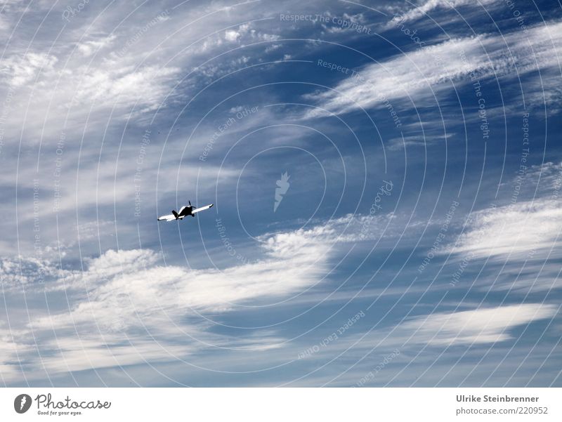 Modellflugzeug fliegt hoch am Himmel Modellbau Flugschau Wolken Schönes Wetter Verkehrsmittel Luftverkehr Flugzeug Flugzeugstart frei Unendlichkeit