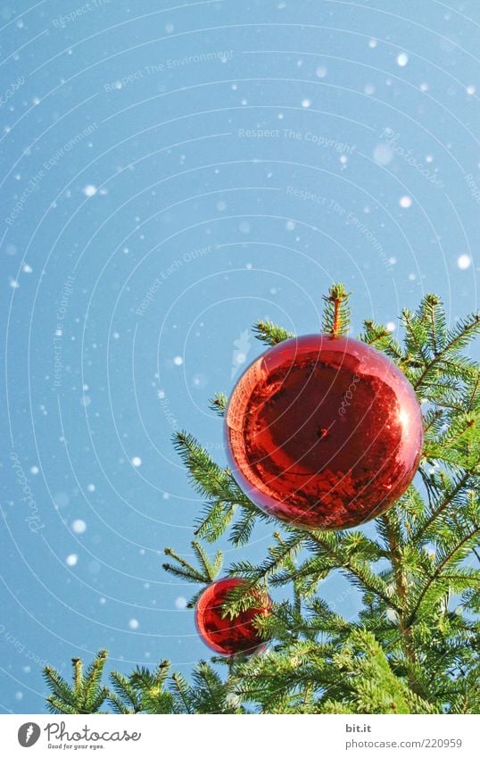 Schneeflöckchen... (V) Dekoration & Verzierung Feste & Feiern Winter Schneefall kalt Kitsch Stimmung Glück Vorfreude Romantik Tradition Weihnachtsbaum