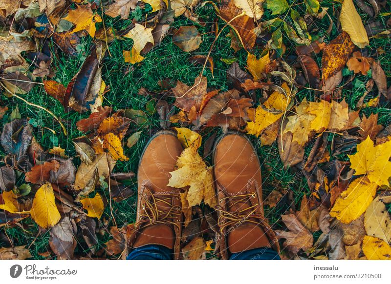 Herbststimmung Lifestyle kaufen elegant Stil Freude schön Wellness harmonisch Wohlgefühl Erholung Tourismus Abenteuer wandern Garten Mensch Junge Frau