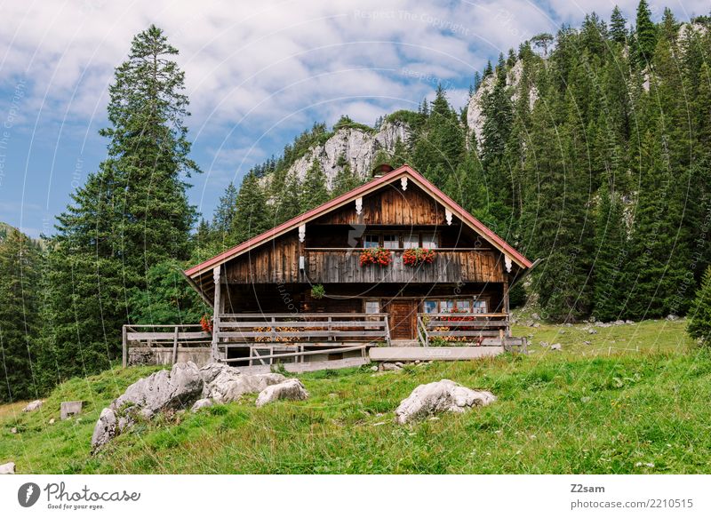 Eigenheim Berge u. Gebirge wandern Natur Landschaft Sommer Schönes Wetter Wald Alpen Haus Einfamilienhaus Hütte einfach Kitsch Einsamkeit Erholung