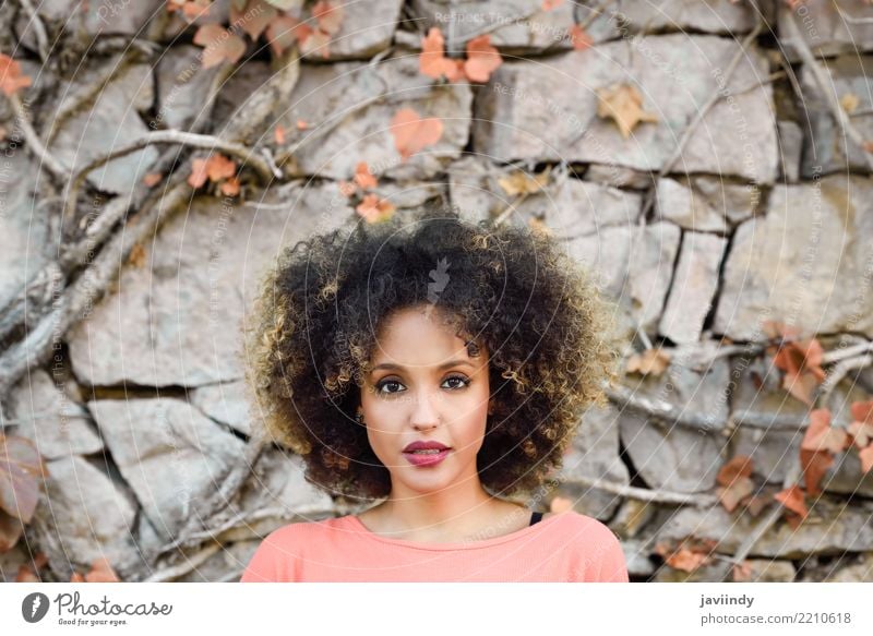 Gemischte Frau mit Afro-Frisur, die in einem Stadtpark steht. Lifestyle Stil schön Haare & Frisuren Gesicht Mensch feminin Junge Frau Jugendliche Erwachsene 1