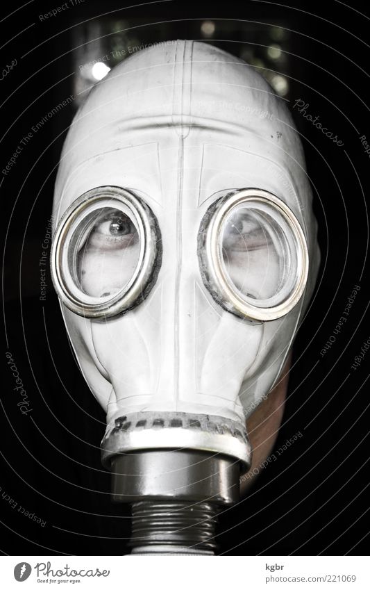 gasmaskiert Mensch Kopf Gesicht Auge 1 Maske außergewöhnlich hässlich Schutz Angst gefährlich bizarr Sicherheit Surrealismus Atemschutzmaske Schutzmaske Gummi