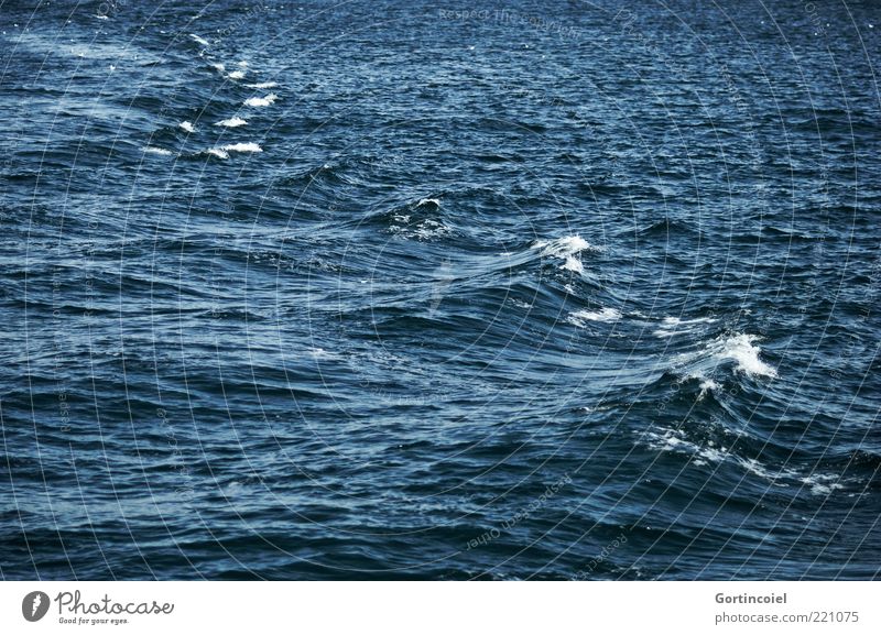 Bosporus Wellen Meer nass wild blau Wellengang Wasser Istanbul Türkei Meerstraße Farbfoto Wasseroberfläche Wellenkamm Gischt Textfreiraum Menschenleer