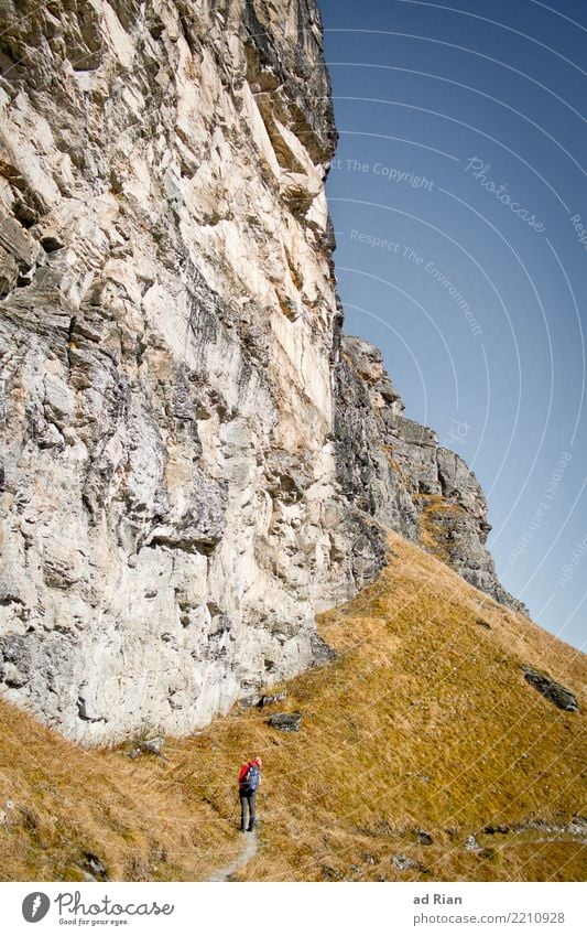 Wanderwetter VIII Ausflug Abenteuer Ferne Freiheit Berge u. Gebirge wandern feminin Frau Erwachsene 1 Mensch Umwelt Natur Landschaft Pflanze Tier