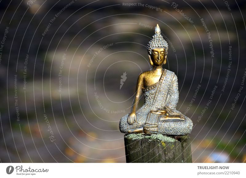 Buddha auf Zaunpfahl meditierend Gesundheit Gesundheitswesen Alternativmedizin Gesunde Ernährung Wellness Leben harmonisch Wohlgefühl Zufriedenheit Erholung