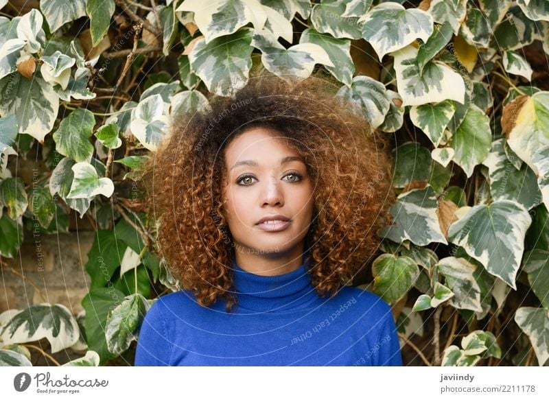 Schöne junge afroamerikanische Frau mit Afro-Frisur. Lifestyle elegant Stil schön Haare & Frisuren Gesicht Mensch feminin Junge Frau Jugendliche Erwachsene 1
