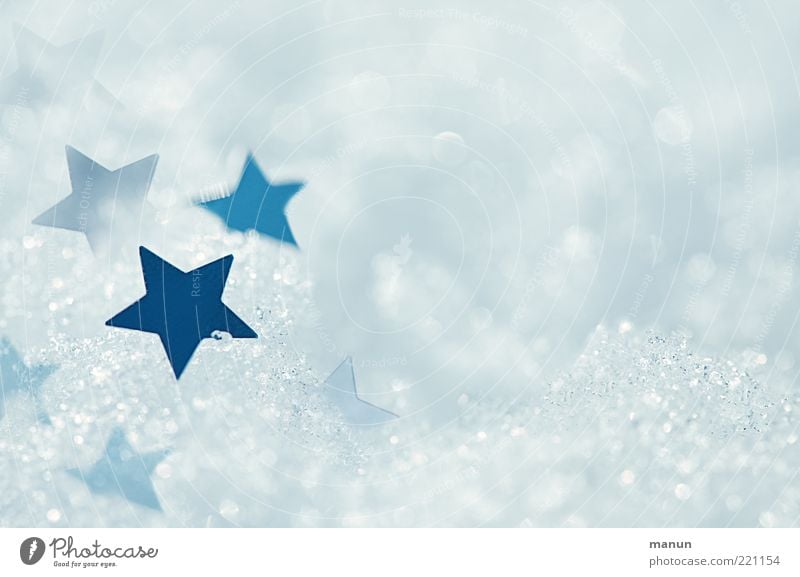 Eissterne Weihnachtsstern Natur Stern Frost Schnee Zeichen Stern (Symbol) Sternenhaufen frisch glänzend hell kalt Kitsch Originalität blau silber weiß Frieden