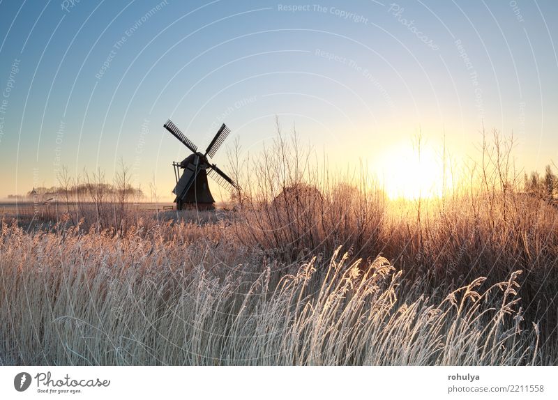 Gold Sonnenaufgang über niederländische Windmühle am frostigen Morgen Ferien & Urlaub & Reisen Winter Natur Landschaft Himmel Sonnenuntergang Schönes Wetter