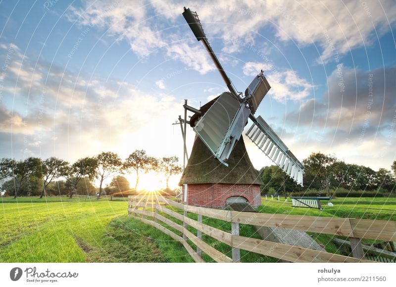 schöner Sonnenaufgang hinter holländischer Windmühle Ferien & Urlaub & Reisen Sommer Natur Landschaft Himmel Wolken Schönes Wetter Gras Wiese Gebäude