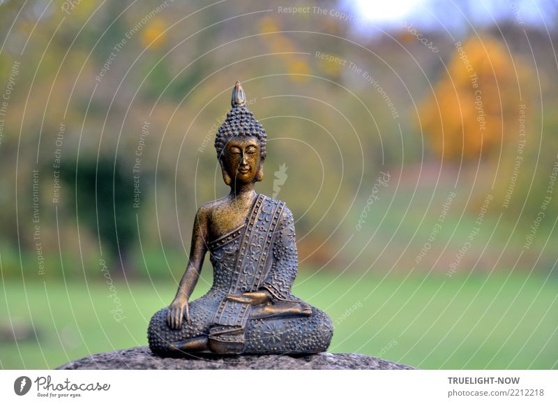 Buddha auf Stein im Park Lifestyle Gesundheit Wellness harmonisch Wohlgefühl Zufriedenheit Sinnesorgane Erholung ruhig Meditation Skulptur Kultur Subkultur