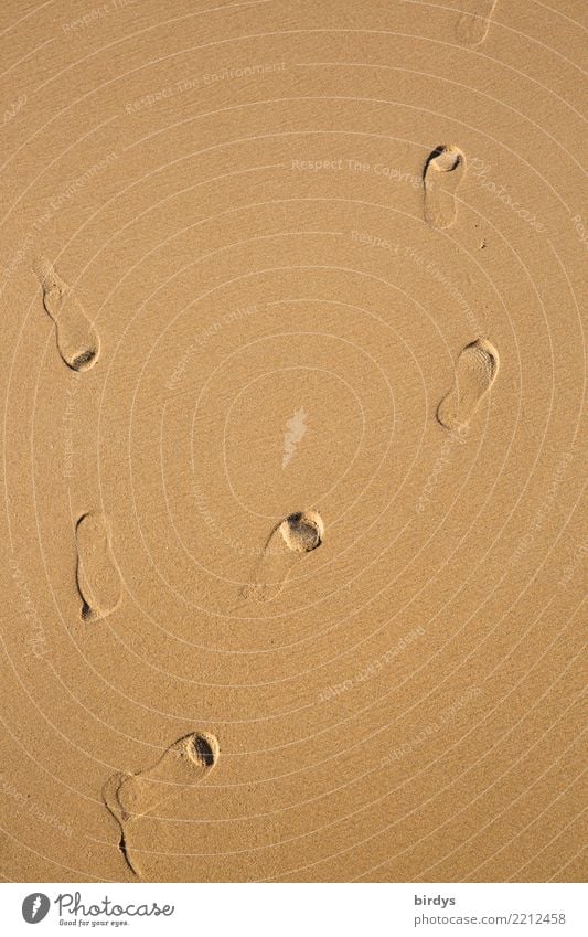 Spuren im Sand Schönes Wetter Strand Fußspur gehen ästhetisch einfach positiv braun gelb Bewegung Partnerschaft Einsamkeit Entschlossenheit Identität Trennung