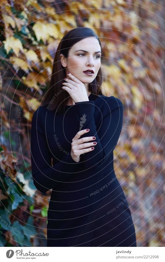 Frau, die schwarzes Kleid mit Herbstfarben am Hintergrund trägt Lifestyle Stil Glück schön Haare & Frisuren Mensch Erwachsene Straße Mode trendy modern weiß