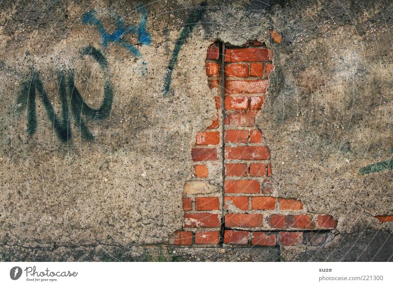 Hauskatze Kunst Kunstwerk Mauer Wand Fassade Katze alt authentisch dreckig lustig stagnierend Verfall Vergangenheit Vergänglichkeit verfallen obskur Figur Putz