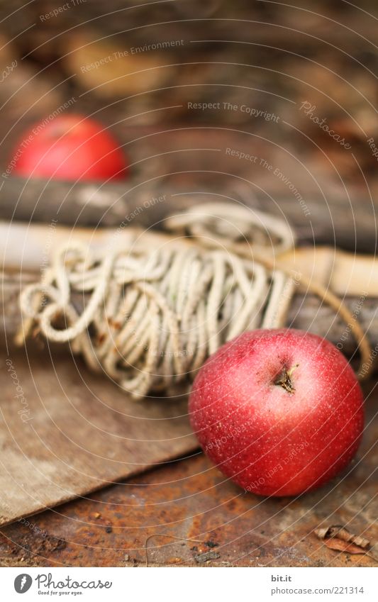 APFELROLLE Lebensmittel Frucht Apfel Ernährung Bioprodukte Vegetarische Ernährung Sommer Herbst Holz Schnur braun rot Stillleben Material Seil Rolle Gesundheit