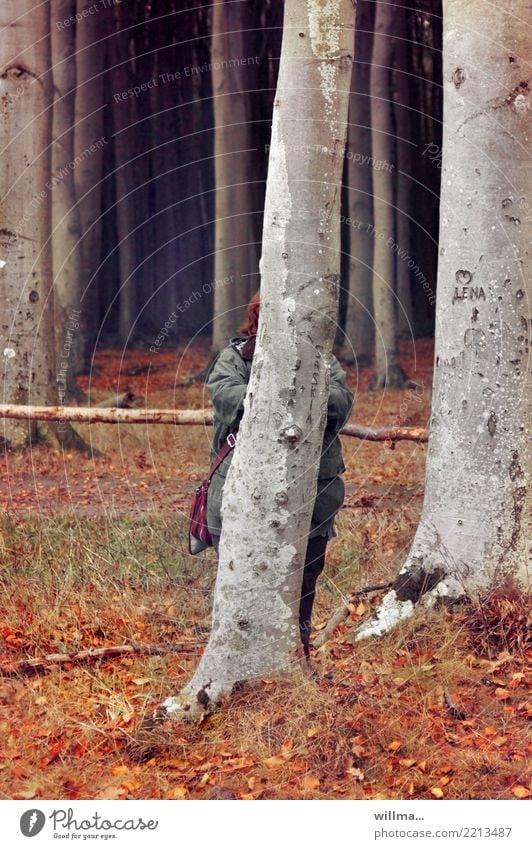 wald  versteck Wald Bäume - ein lizenzfreies Stock Foto von Photocase