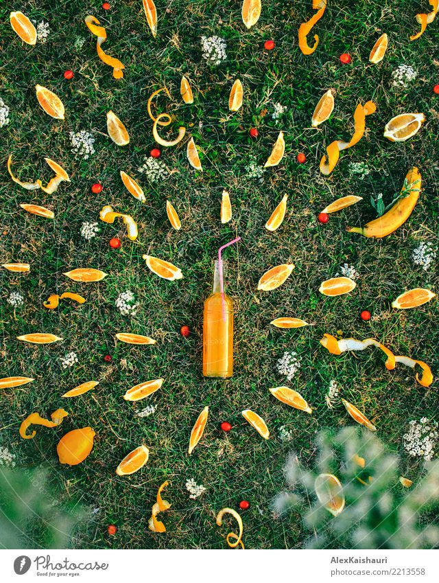Sommer Kreativkonzept Frucht Orange Picknick Bioprodukte Erfrischungsgetränk Limonade Saft Freude Ferien & Urlaub & Reisen Freiheit Natur Frühling Blume Gras