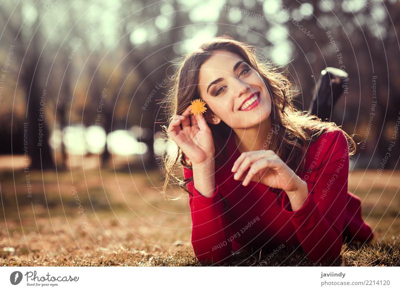 Frauenrest im Park mit einem Löwenzahn in ihrem Haar Lifestyle Stil Glück schön Haare & Frisuren Gesicht Erholung Sommer Mensch Erwachsene Natur Blume Gras Mode