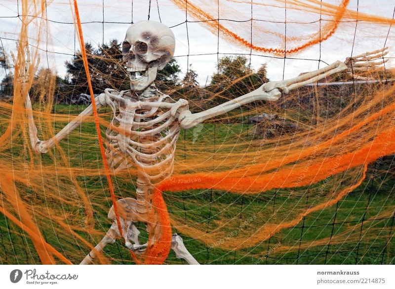 Skelett Halloween Dekoration & Verzierung Kunststoff hängen gruselig trashig orange Angst Entsetzen bizarr Freizeit & Hobby gruseln Schädel aufgehängt Farbfoto