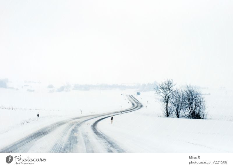 Die Straße Winter Eis Frost Schnee Verkehrswege Wege & Pfade kalt weiß Verkehrssicherheit Sträucher Schneelandschaft Landschaft Farbfoto Gedeckte Farben