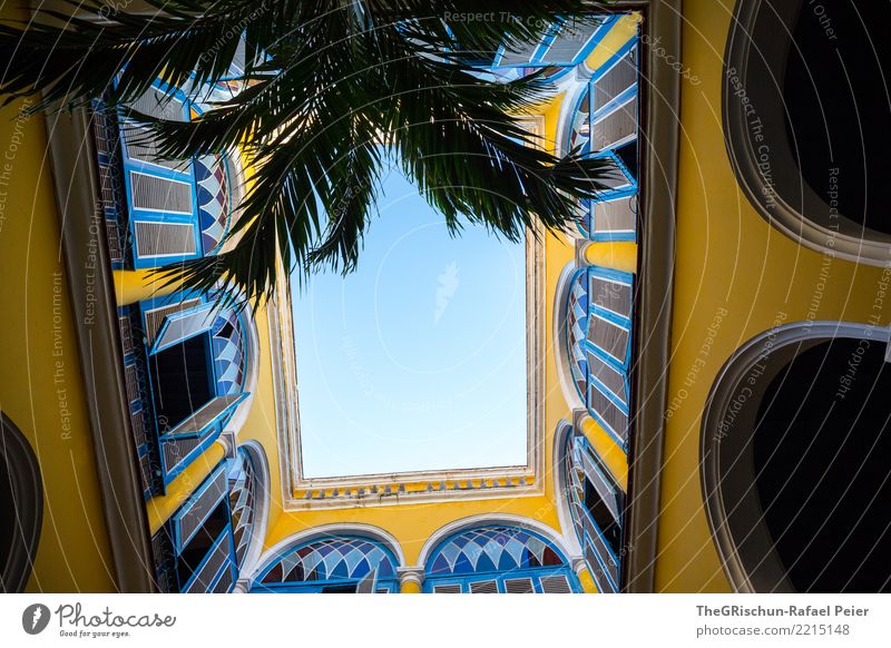 blick nach oben Stadt Hauptstadt Haus blau gelb Himmel Palme Balkon Gebäude Mauer Perspektive mehrfarbig perspektivlos offen Gewölbe Kuba Havanna Farbfoto