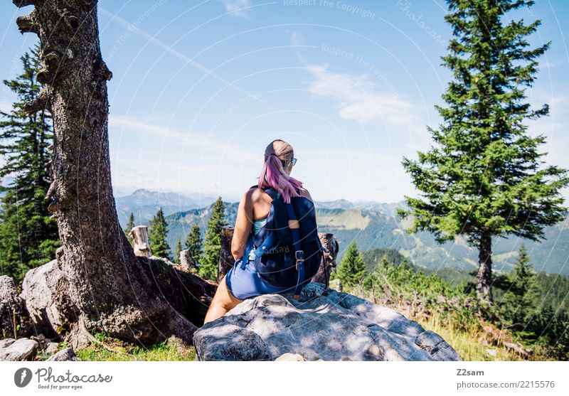 Junge Frau pausiert in in den Alpen wandern Natur Landschaft Sommer Schönes Wetter Baum Sträucher Felsen Berge u. Gebirge Sonnenbrille Rucksack blond Kuh Denken