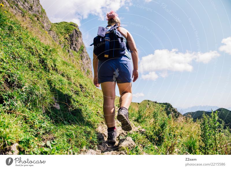 Aufstieg auf die oberbayerische Rotwand (Alpen) Berge u. Gebirge wandern Junge Frau Jugendliche 30-45 Jahre Erwachsene Natur Landschaft Sommer Gras Wiese