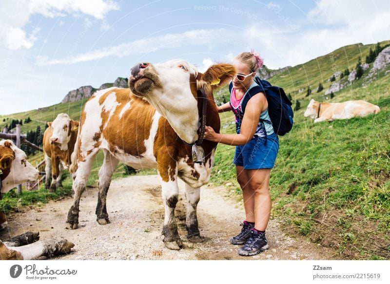 Kuh streicheln Ferien & Urlaub & Reisen Ausflug Berge u. Gebirge wandern Junge Frau Jugendliche 18-30 Jahre Erwachsene Natur Landschaft Schönes Wetter Alpen