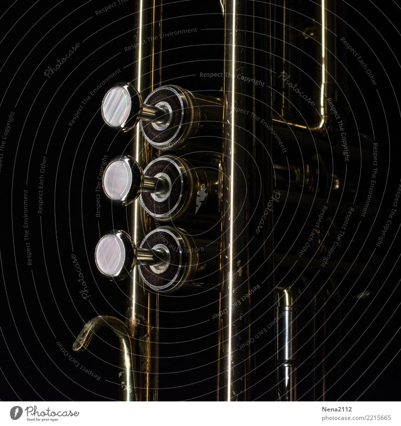 Trompete - Q1 Musik Musik hören Konzert Open Air Bühne Musiker Orchester dunkel elegant rund schwarz Blasinstrumente Tasteninstrumente Blechblasinstrumente