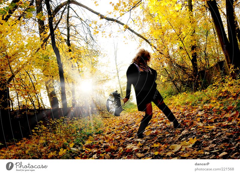 ShoppingPause Mensch feminin Junge Frau Jugendliche Erwachsene 1 18-30 Jahre Umwelt Natur Landschaft Sonne Sonnenaufgang Sonnenuntergang Sonnenlicht Sommer