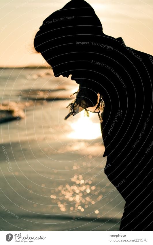 Silhouette Kopf Haare & Frisuren Freude Glück Strand Meer Sonnenuntergang Reflexion & Spiegelung Wasser Zufriedenheit Erholung Ferien & Urlaub & Reisen