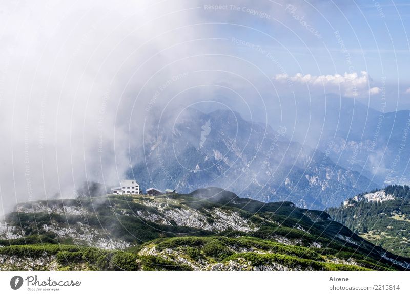 the dark side | kommt näher Landschaft Himmel Wolken Schönes Wetter schlechtes Wetter Nebel Sträucher Latschenkiefer Bodendecker Kiefer Felsen Alpen
