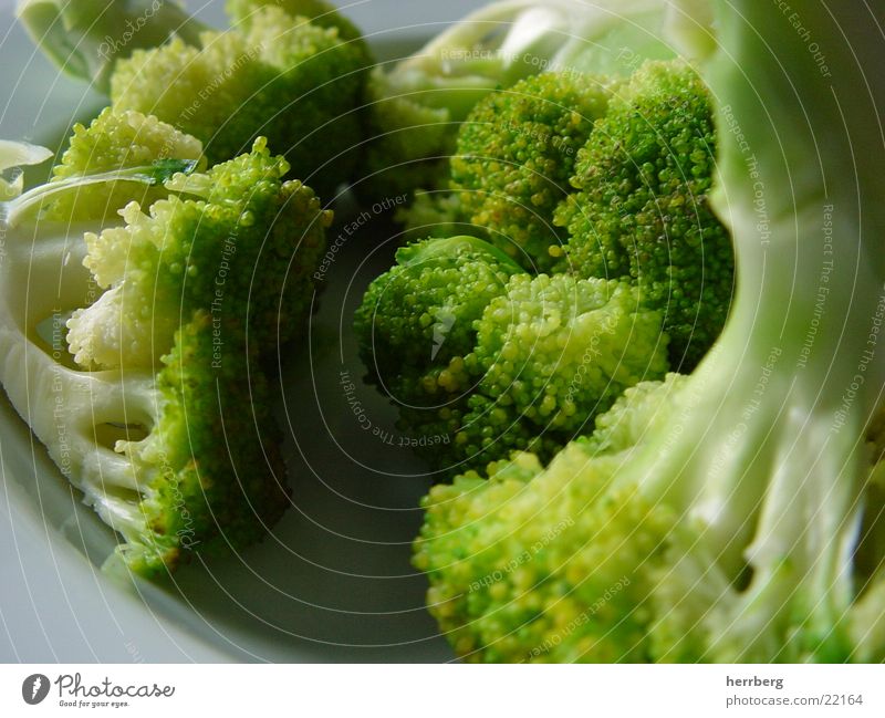 vitaminbombe Brokkoli grün nah kochen & garen lecker Gesundheit Gemüse Ernährung brokoli brocoli brockoli