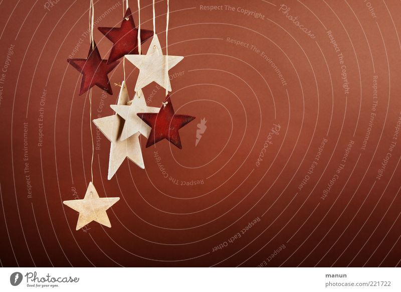 Holzsterne Feste & Feiern Weihnachtsdekoration Stern (Symbol) Zeichen nachhaltig natürlich Originalität Vorfreude Handel einfach Farbfoto Textfreiraum rechts