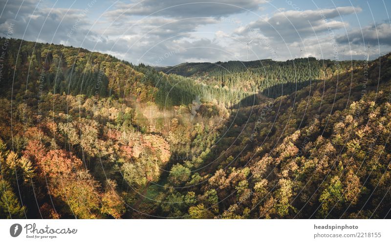 Herbstlandschaft im Hunsrück bei Sonnenaufgang wandern Umwelt Natur Landschaft Wolken Wind Baum Wald Mörsdorf Deutschland Sehenswürdigkeit Erholung