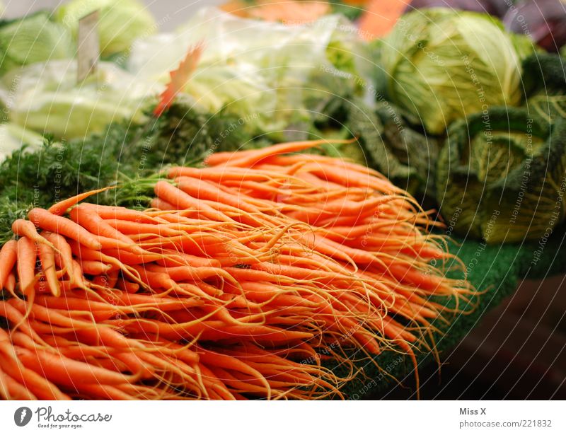 Gemüsemarkt Lebensmittel Ernährung Bioprodukte Vegetarische Ernährung frisch Gesundheit lecker Marktstand Gemüseladen Möhre Kohl Wirsing Gesunde Ernährung