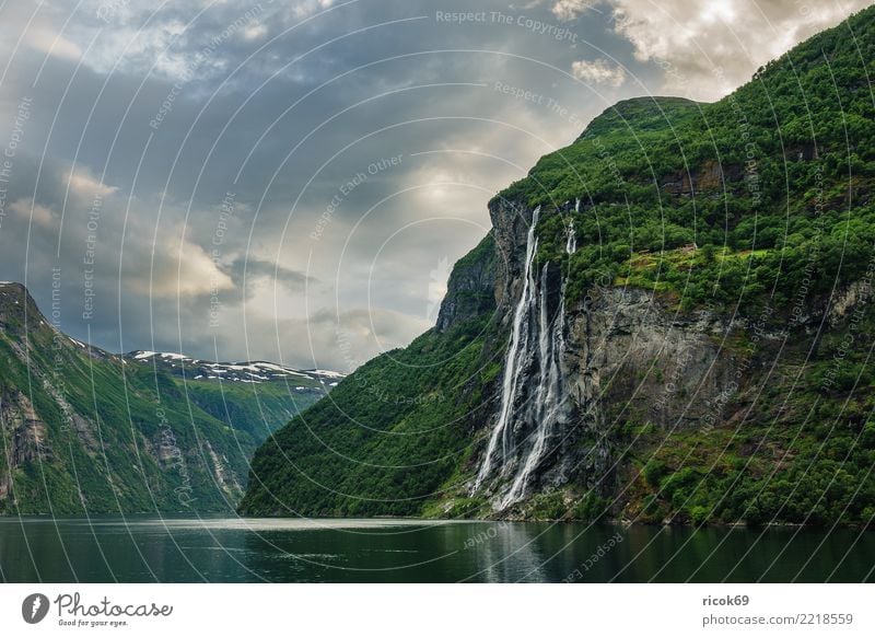 Blick auf den Geirangerfjord in Norwegen Erholung Ferien & Urlaub & Reisen Tourismus Berge u. Gebirge Natur Landschaft Wasser Wolken Baum Felsen Fjord