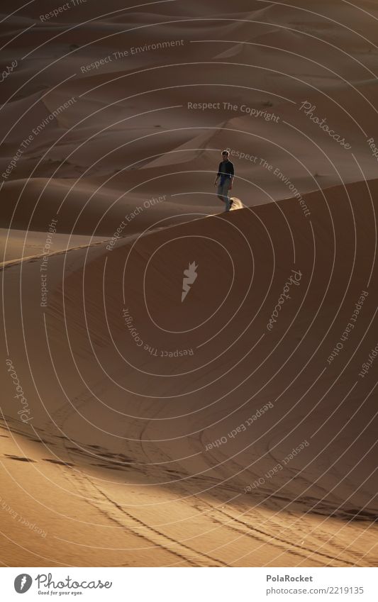 #A# Sandjogging Kunst Kunstwerk ästhetisch Sahara Wüste wandern Joggen Dorf Düne Stranddüne laufen entdecken Farbfoto mehrfarbig Außenaufnahme Detailaufnahme