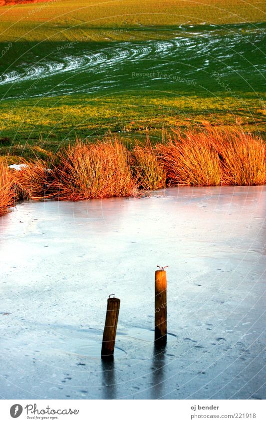 Sonne und Eis Landschaft Wasser Sonnenlicht Winter Frost Teich natürlich schön Stil Farbfoto Außenaufnahme Menschenleer Abend Starke Tiefenschärfe Seeufer